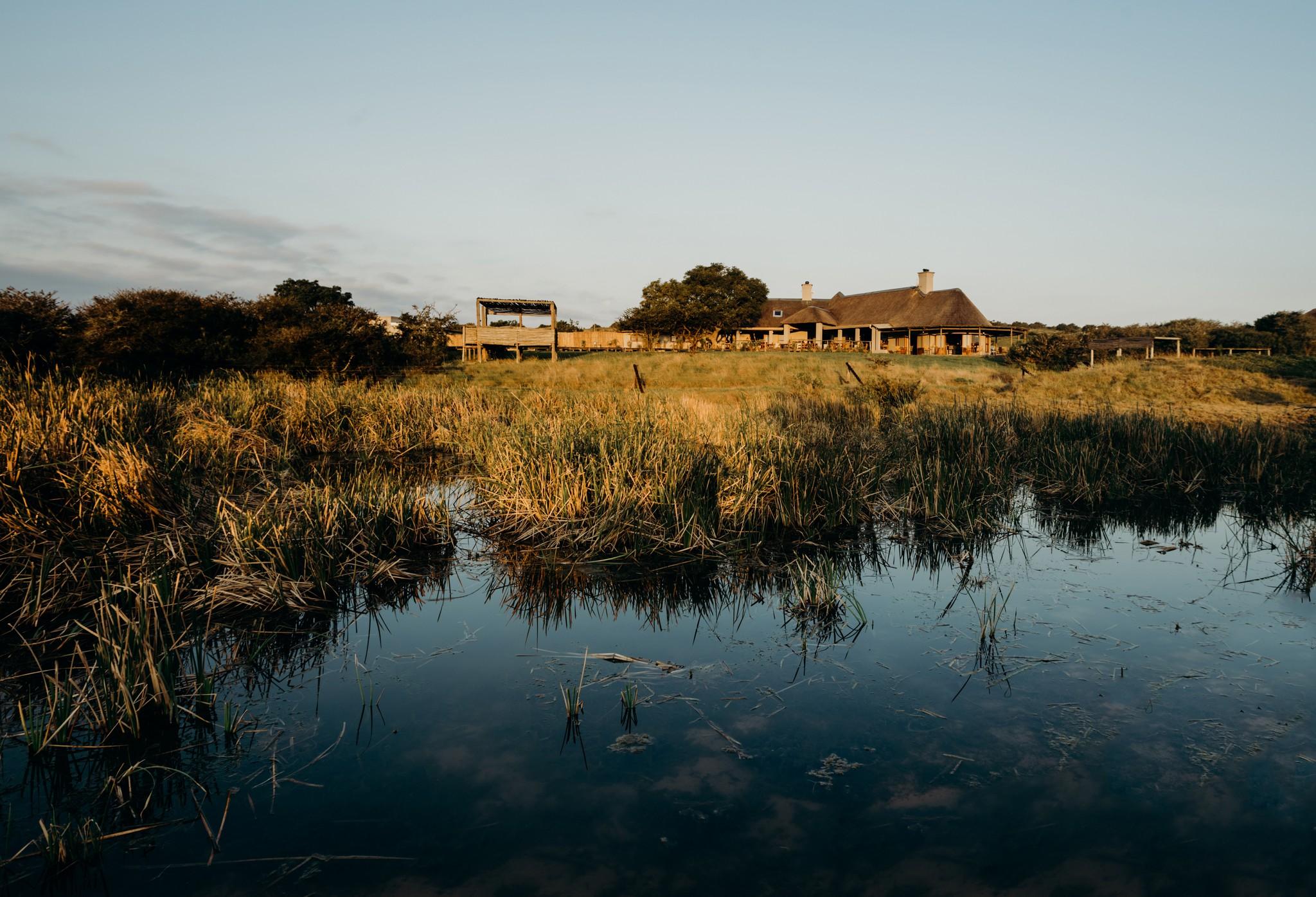 Hlosi Game Lodge - Amakhala Game Reserve Buyskloof Eksteriør billede
