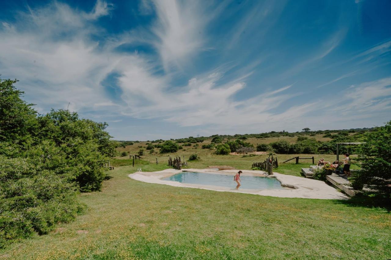 Hlosi Game Lodge - Amakhala Game Reserve Buyskloof Eksteriør billede