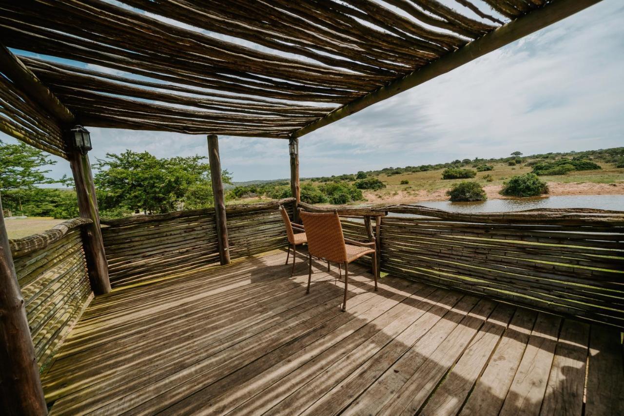Hlosi Game Lodge - Amakhala Game Reserve Buyskloof Eksteriør billede