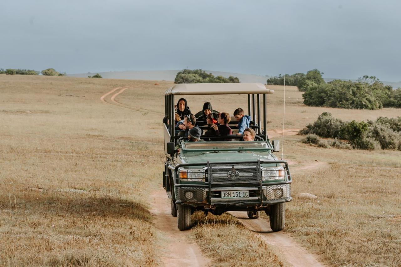 Hlosi Game Lodge - Amakhala Game Reserve Buyskloof Eksteriør billede
