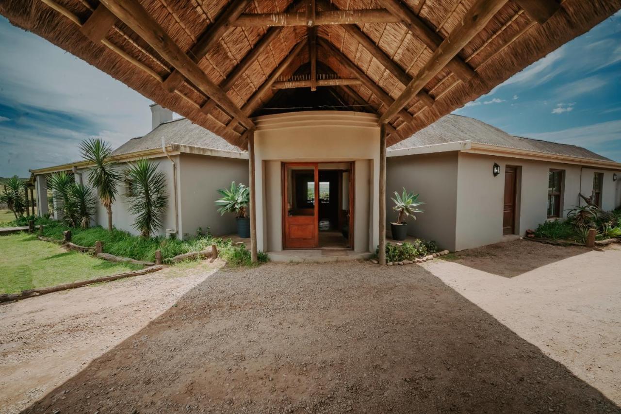 Hlosi Game Lodge - Amakhala Game Reserve Buyskloof Eksteriør billede