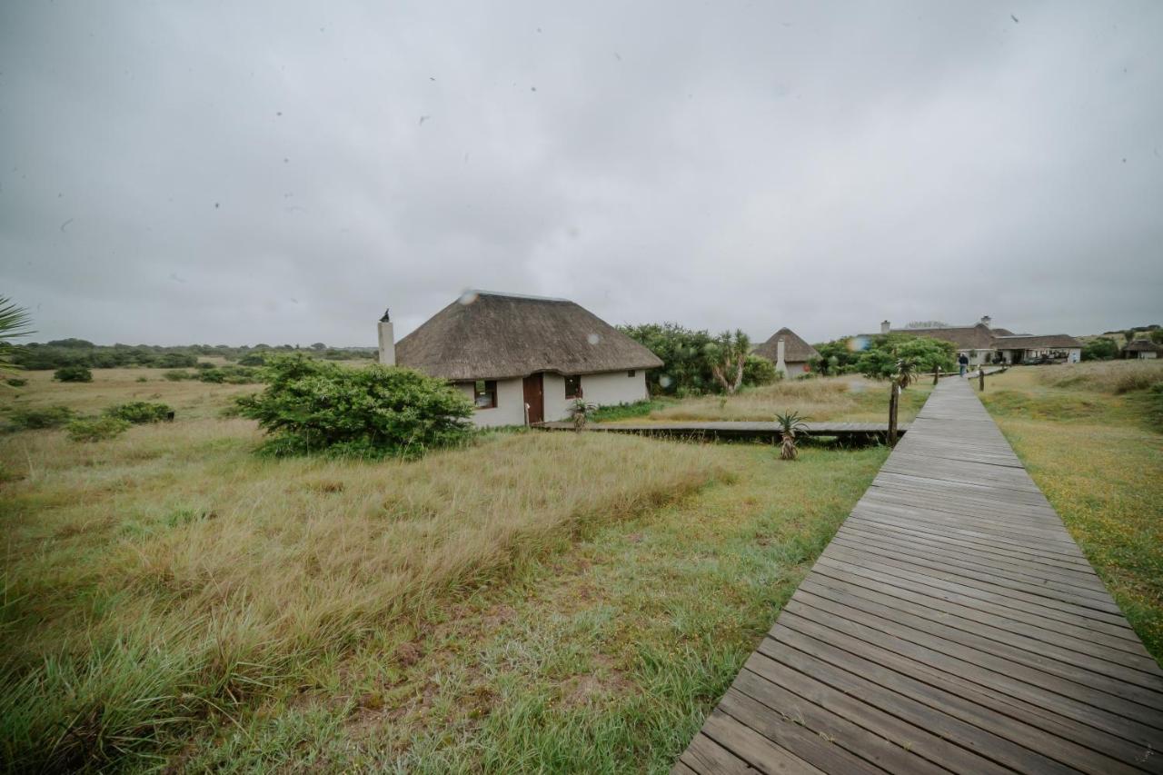 Hlosi Game Lodge - Amakhala Game Reserve Buyskloof Eksteriør billede