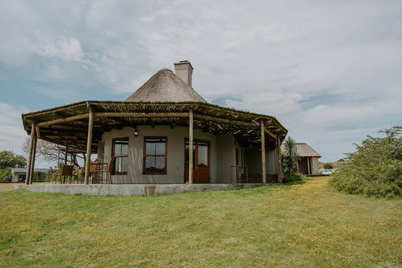 Hlosi Game Lodge - Amakhala Game Reserve Buyskloof Eksteriør billede