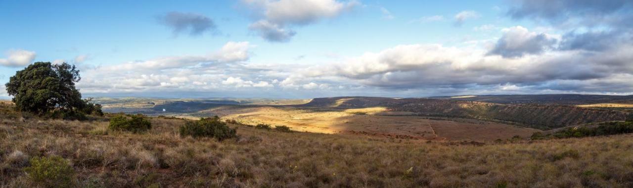 Hlosi Game Lodge - Amakhala Game Reserve Buyskloof Eksteriør billede